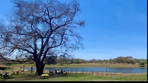 Header of tusombra88