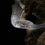 Download twittgit99 OnlyFans videos and photos for free 

 profile picture