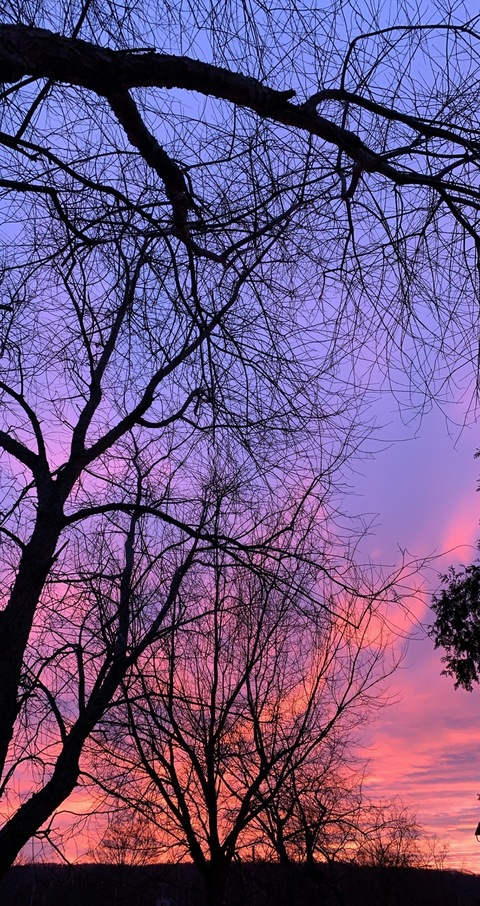 Header of u13330997