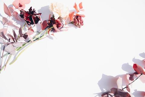 Header of u136609140