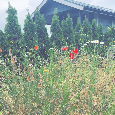 Header of u162731734