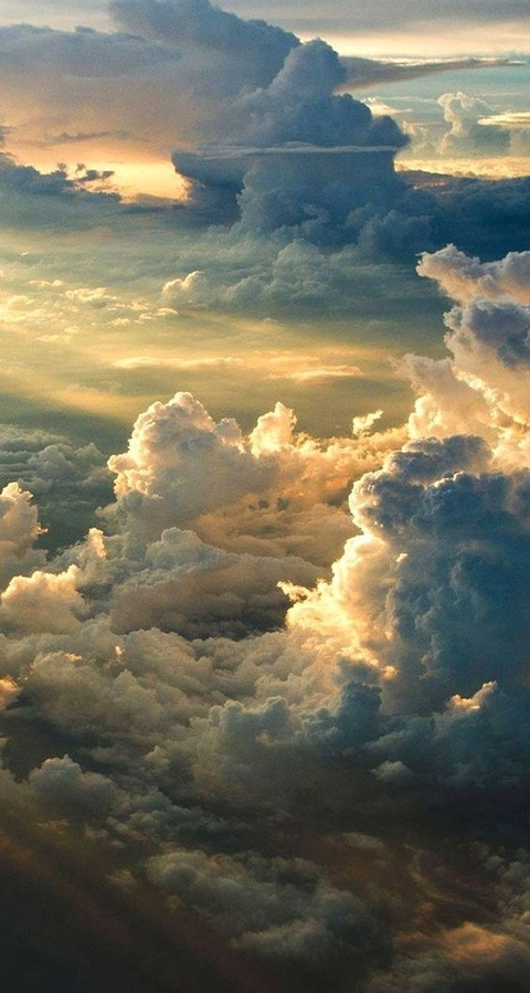 Header of u17823117