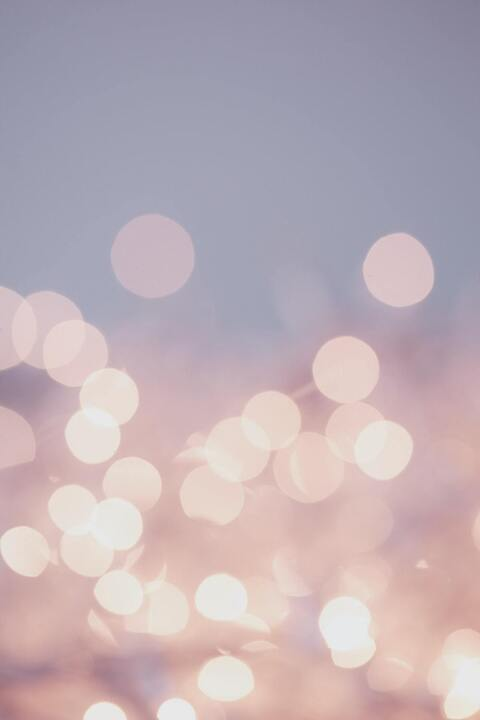 Header of u181457648