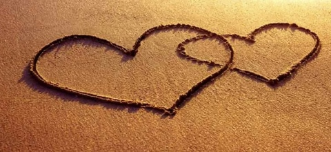 Header of u186631696