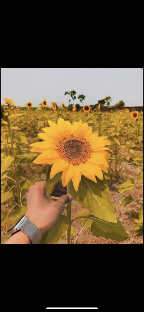 Header of u188054489