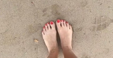 Header of u191315992