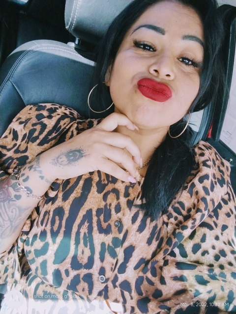 Header of u244127239