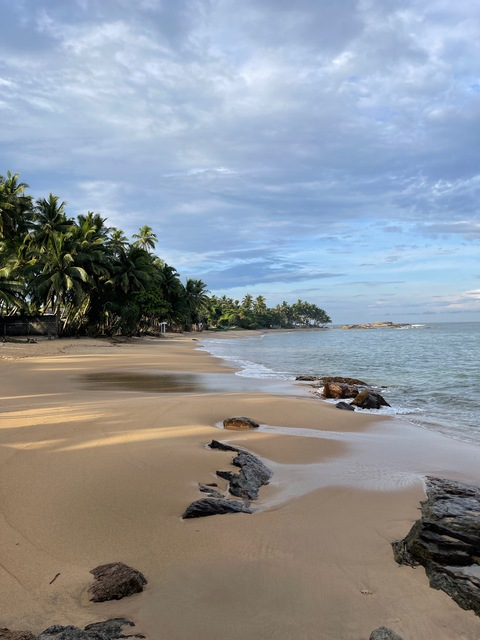 Header of u253656911