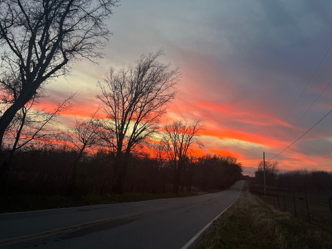 Header of u261909402