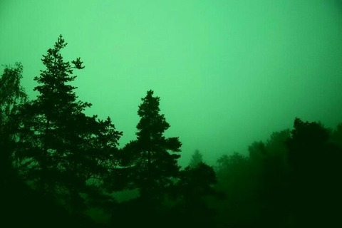 Header of u297590321