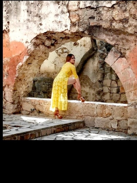 Header of u336635088