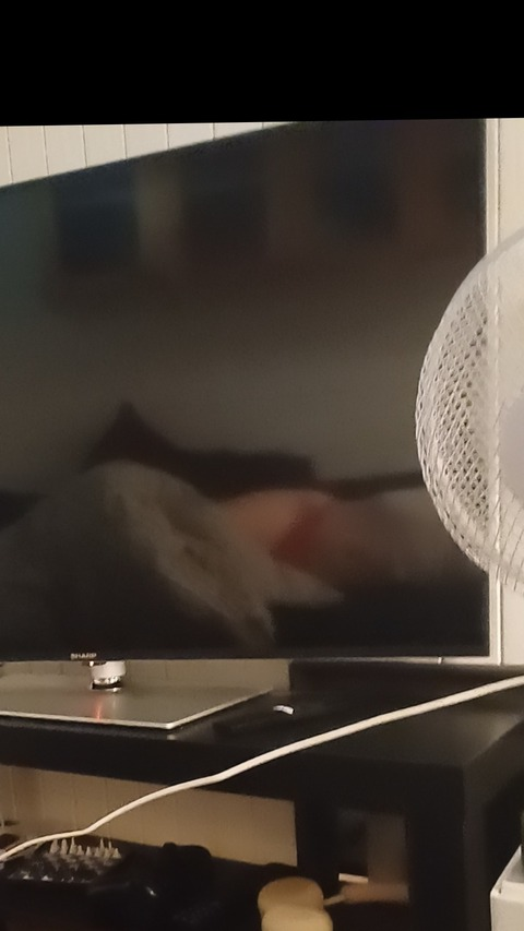 Header of u352046407