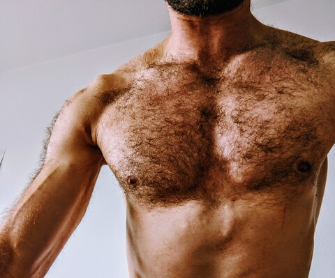 Header of ulyssecamus