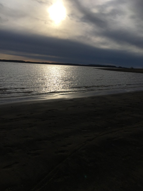 Header of usuario55555552