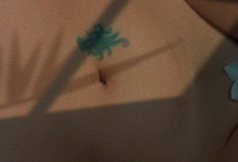 Header of vivicamell