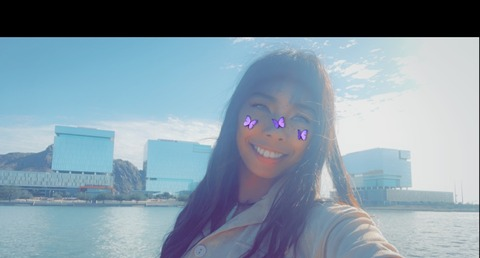 Header of vixonii.rae