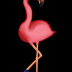 warrior.princess OnlyFans Leaks 

 profile picture