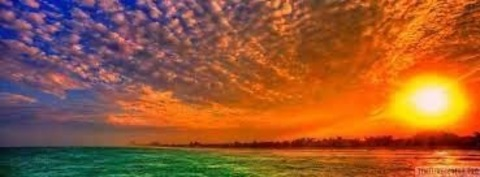Header of welsh_cutie_pie