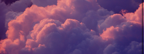 Header of wetevilvip