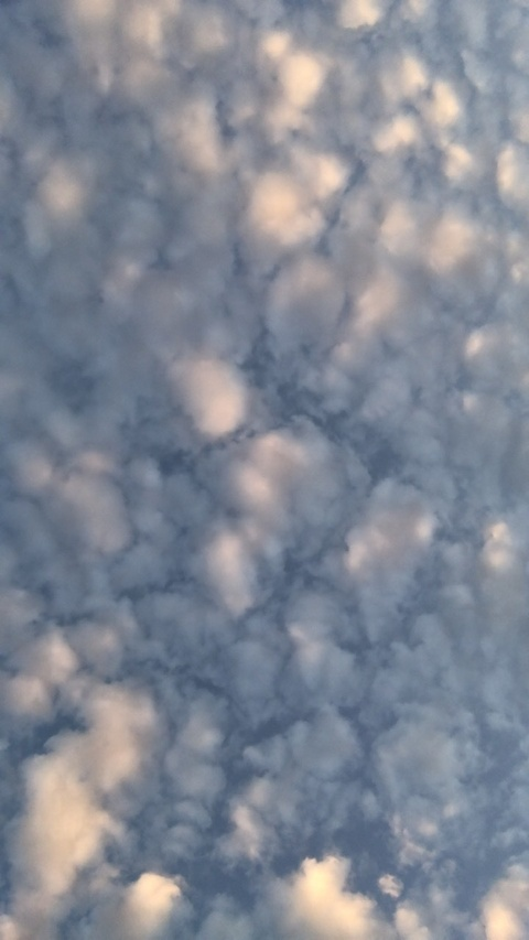 Header of winniecutie