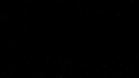 Header of xhalynn