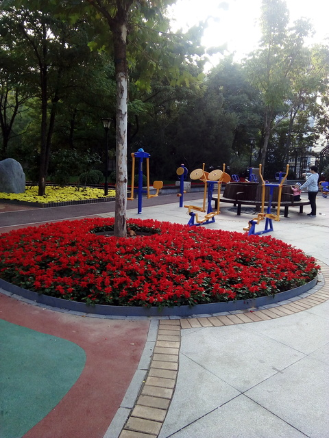 Header of xinyi