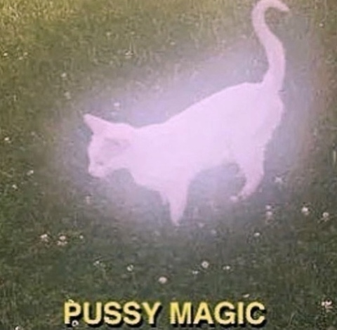 Header of xkittenxspitx