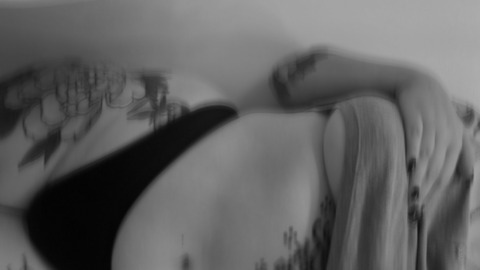 Header of xmorganmyersx