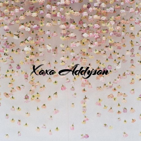 Header of xoxoaddyson
