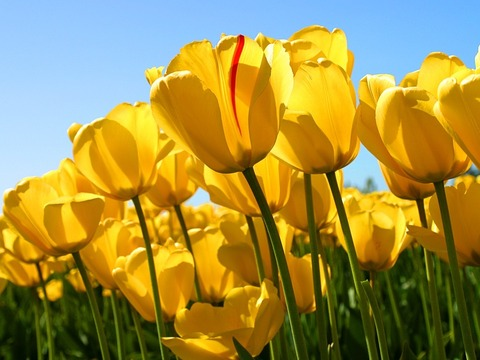 Header of xxlunaxxx1