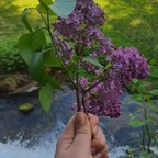 Download yourdoll7 OnlyFans videos and photos for free 

 profile picture