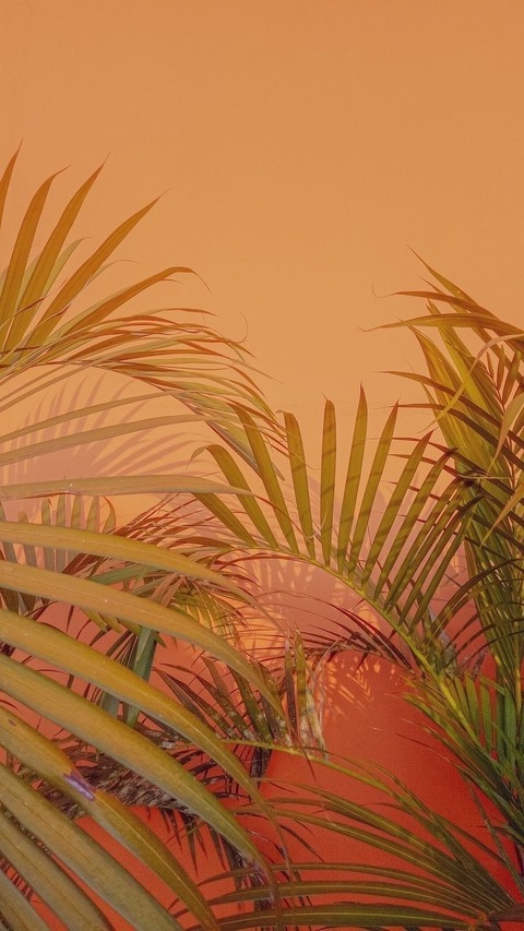 Header of yourgirlmist392