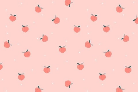 Header of zeilawolf